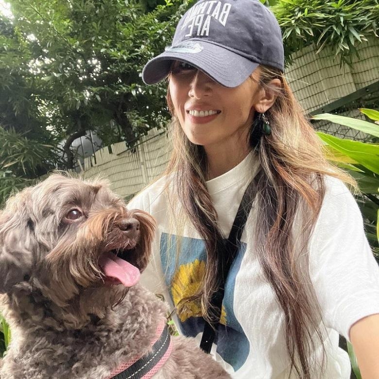 「Run」是工藤靜香從娘家帶過來的狗狗。