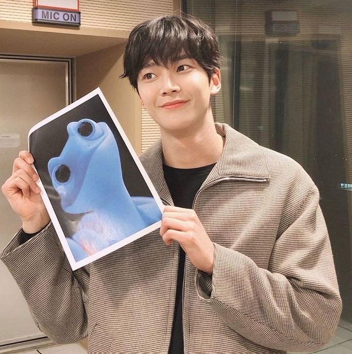 路雲和布魯尼都有著大大亮亮的眼睛。