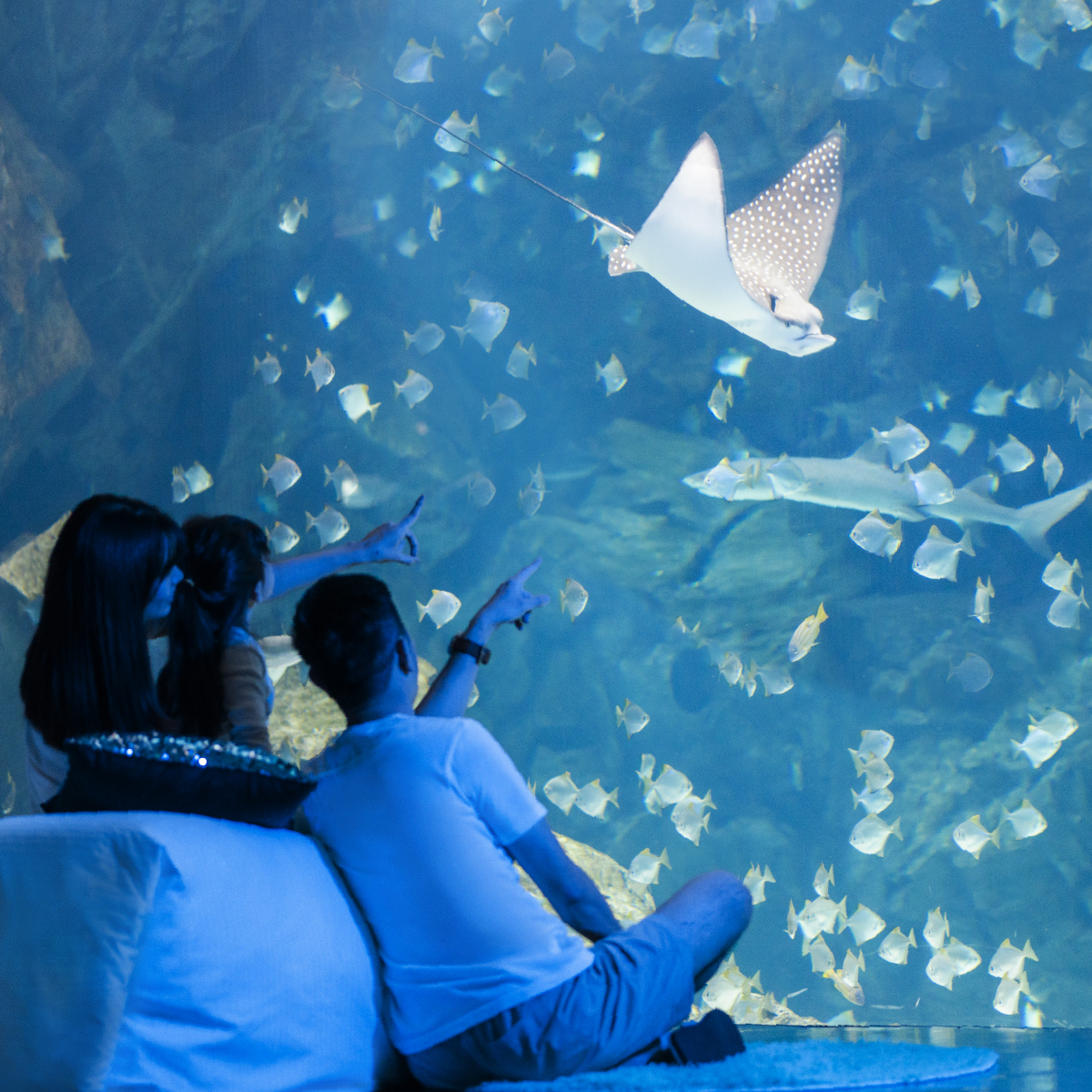 「島嶼夢遊」星級海洋系夜宿行程推出之後大受歡迎。