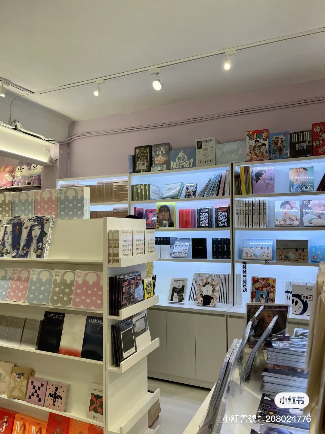 店內滿滿專輯整齊擺放