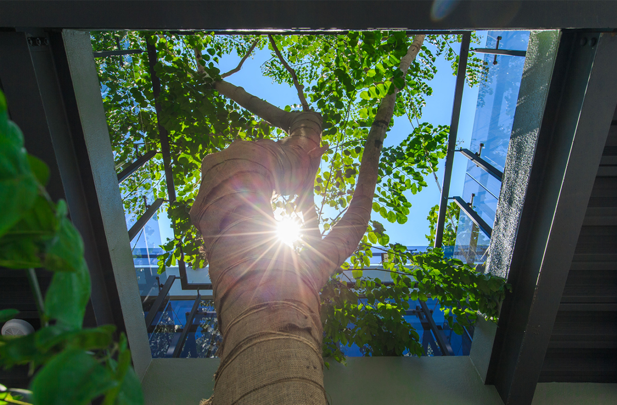 星巴克絕美特色門市5：台南佳里門市