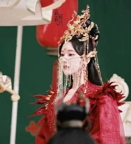 正處於演藝生涯頂峰的趙露思戲約不斷。