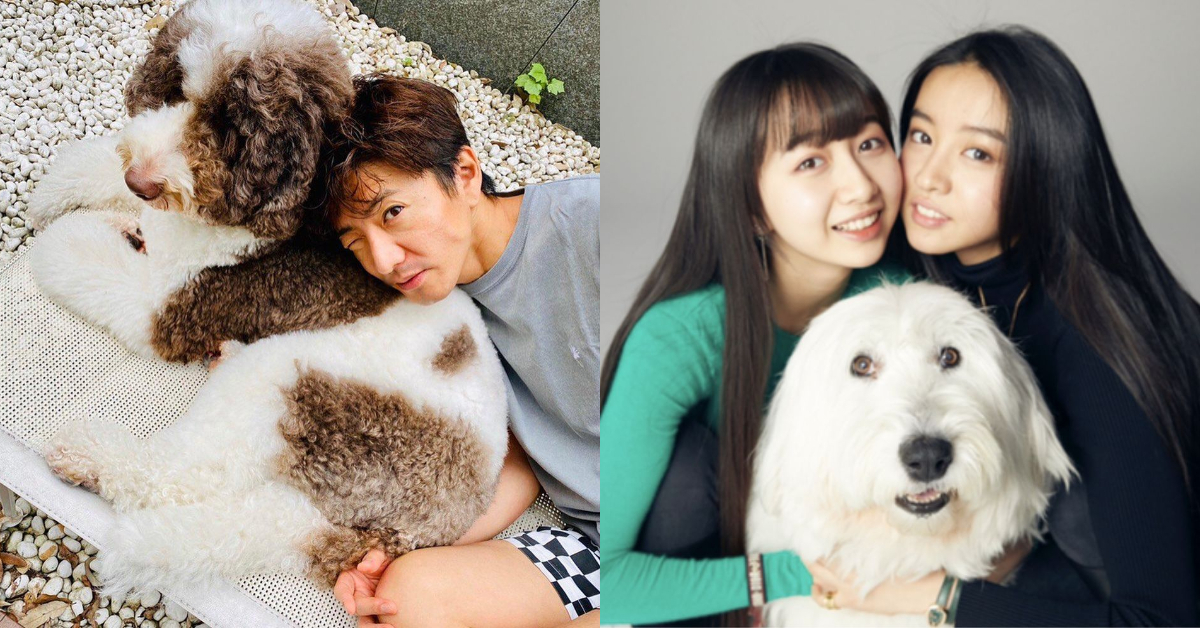 木村拓哉全家人都愛狗。