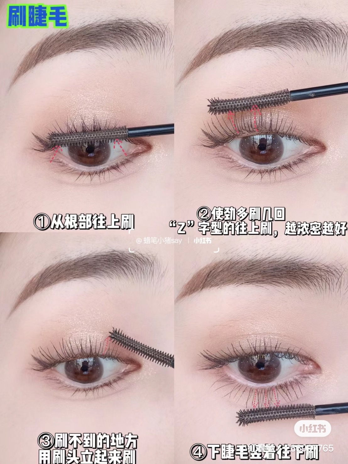 從睫毛根部開始由下往上少量多次塗抹