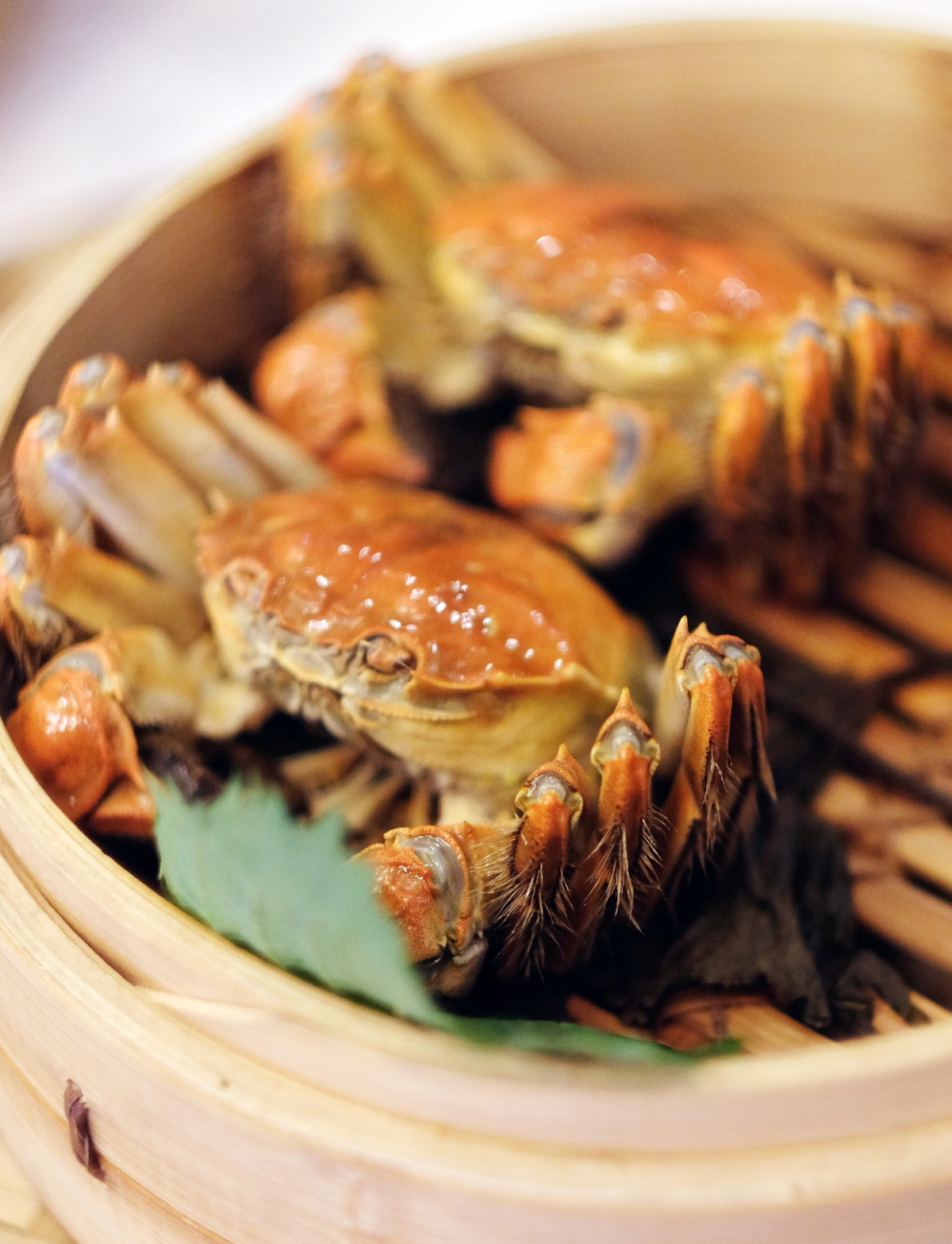 肥美鮮甜的大閘蟹最適合清蒸料理。