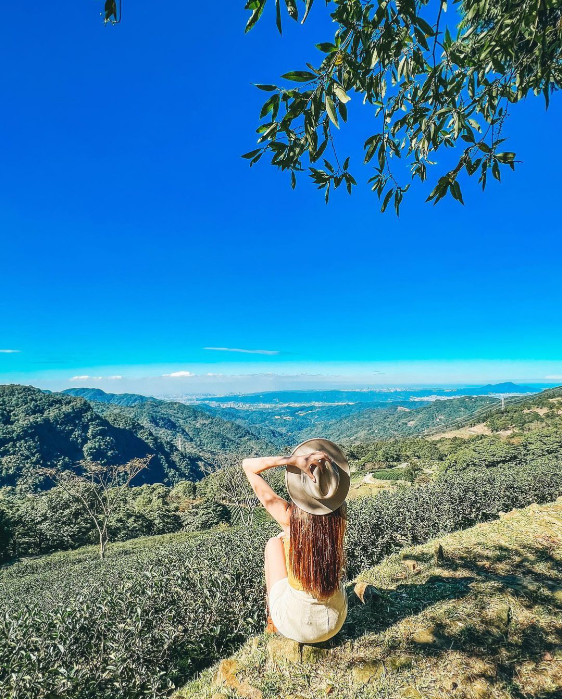 擁有百年歷史的熊空茶園