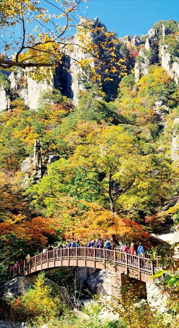 雪嶽山在楓葉季是名勝景點