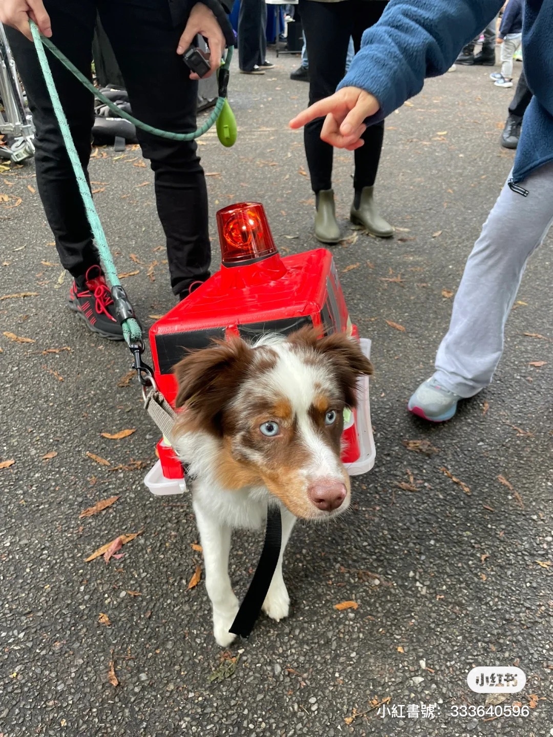 消防車狗狗