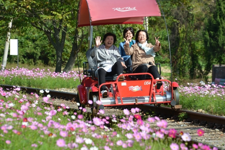 登上古老的火車軌道，在江原道的鄉村體驗令人興奮的自行車之旅
