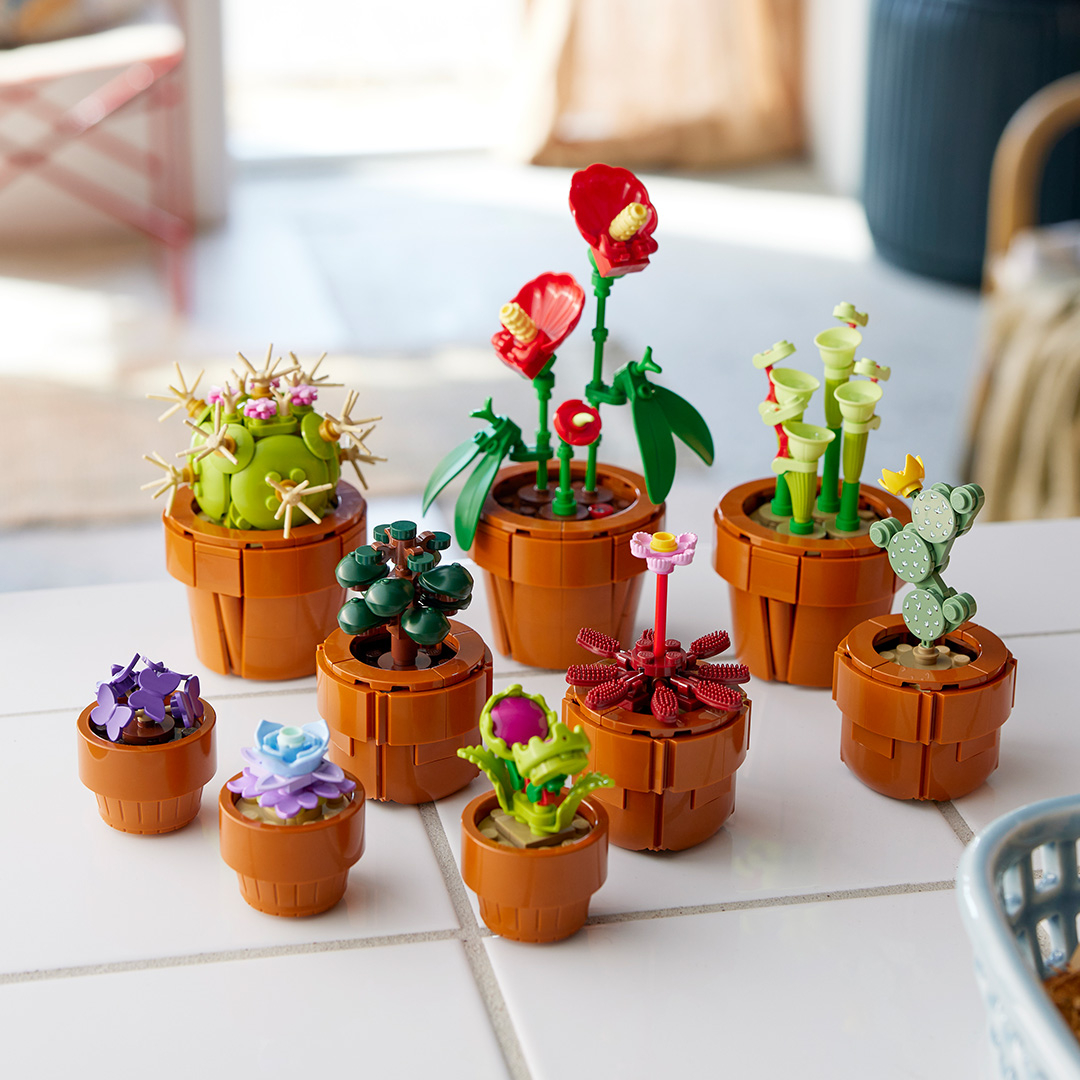 一組有九個植物讓人覺得值得