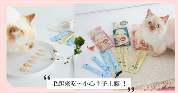 小心主子上癮 ❤️ ！被Zimple好朋朋肉泥饞住的貓注定賴著你，吃得好一點陪伴久一點❤️