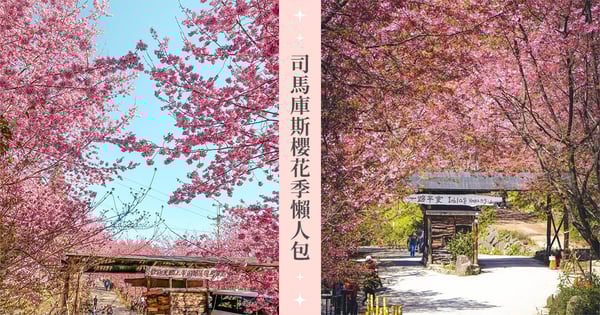 可以安排賞櫻行程了!2024「新竹司馬庫斯櫻花季」日期、住宿、週邊旅遊景點懶人包♡