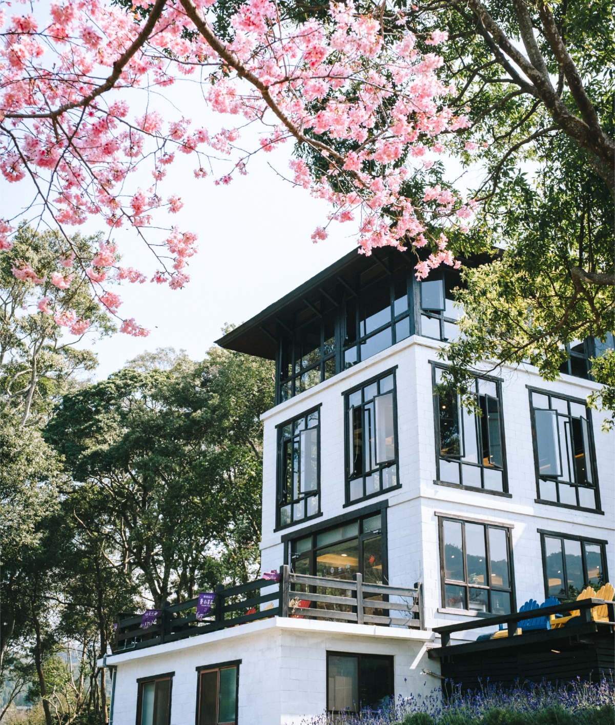 薰衣草森林新竹尖石店