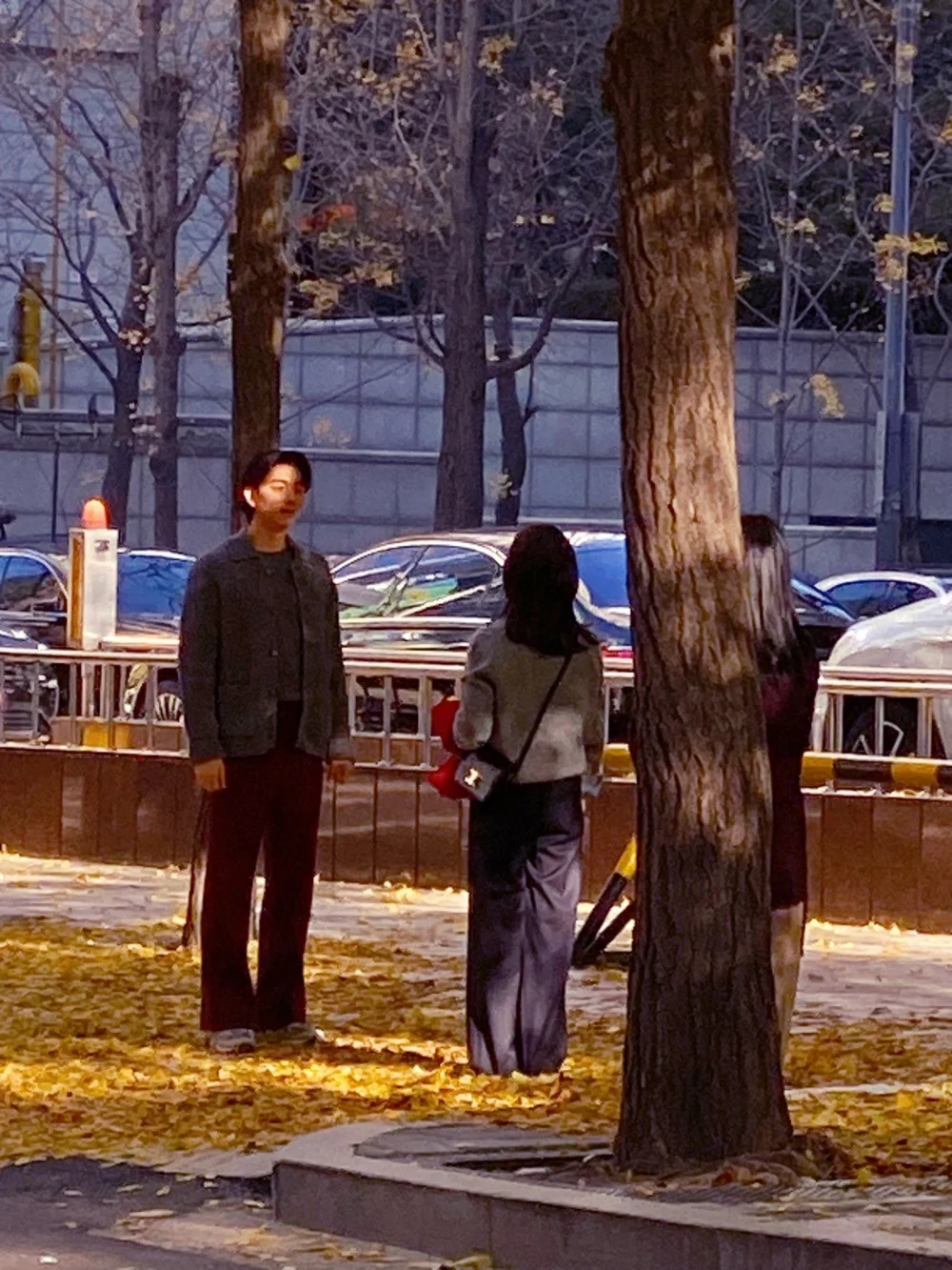 近日，網上流出了徐玄振和孔劉在路旁的同框路透照