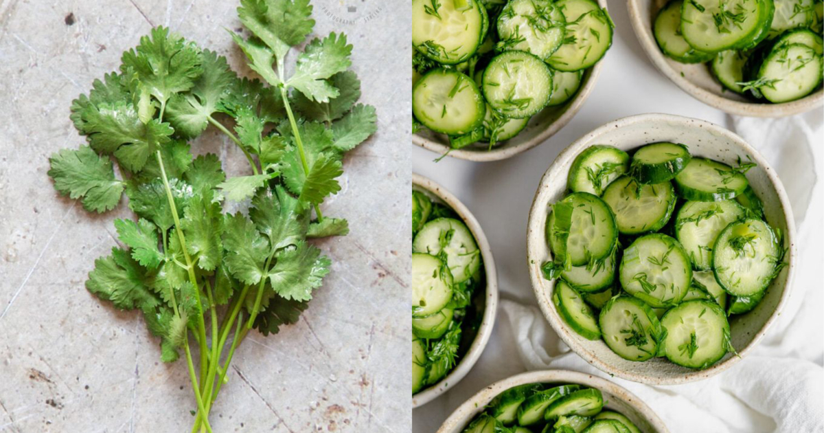 感光類蔬菜不但會加速曬黑還會使皮膚更容易長斑