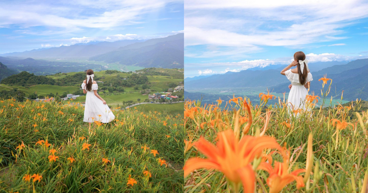 六十石山金針花海