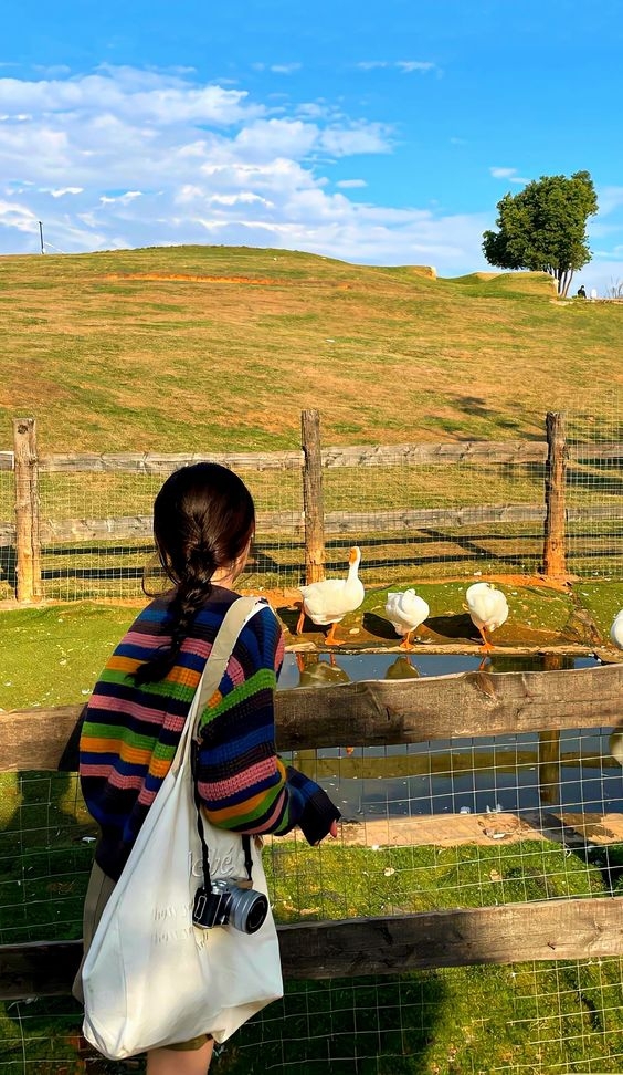 適時在周末安排國內小旅行，才能夠為自己的工作日常充電