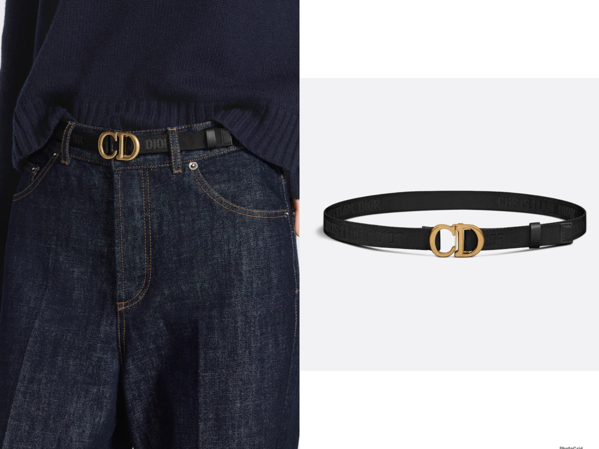 Dior SADDLE 腰帶，參考定價 NT$18,000