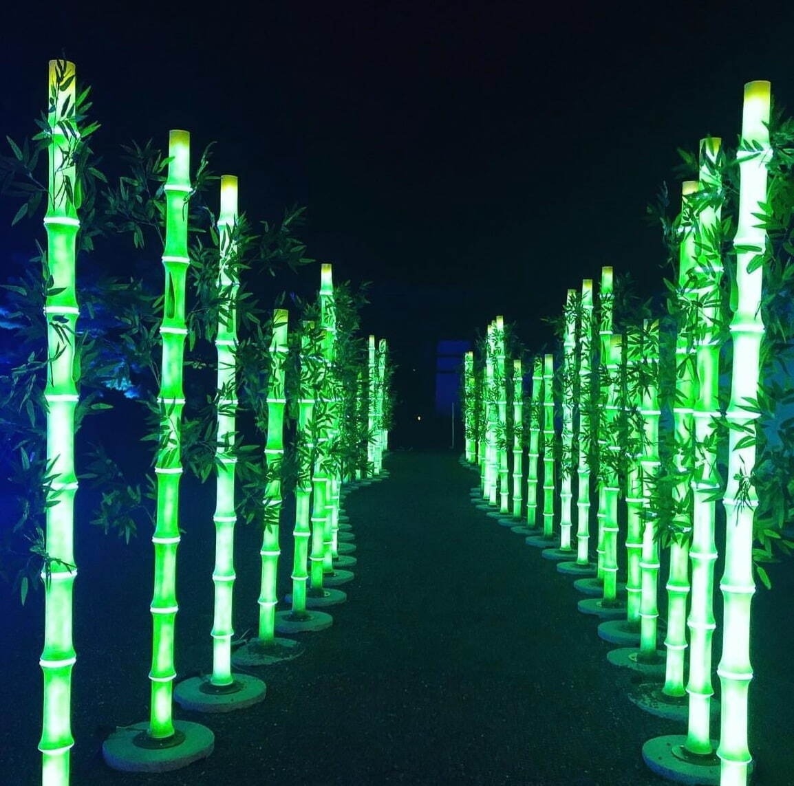 「大阪城Illuminage彩燈節」 再現京都嵐山竹林