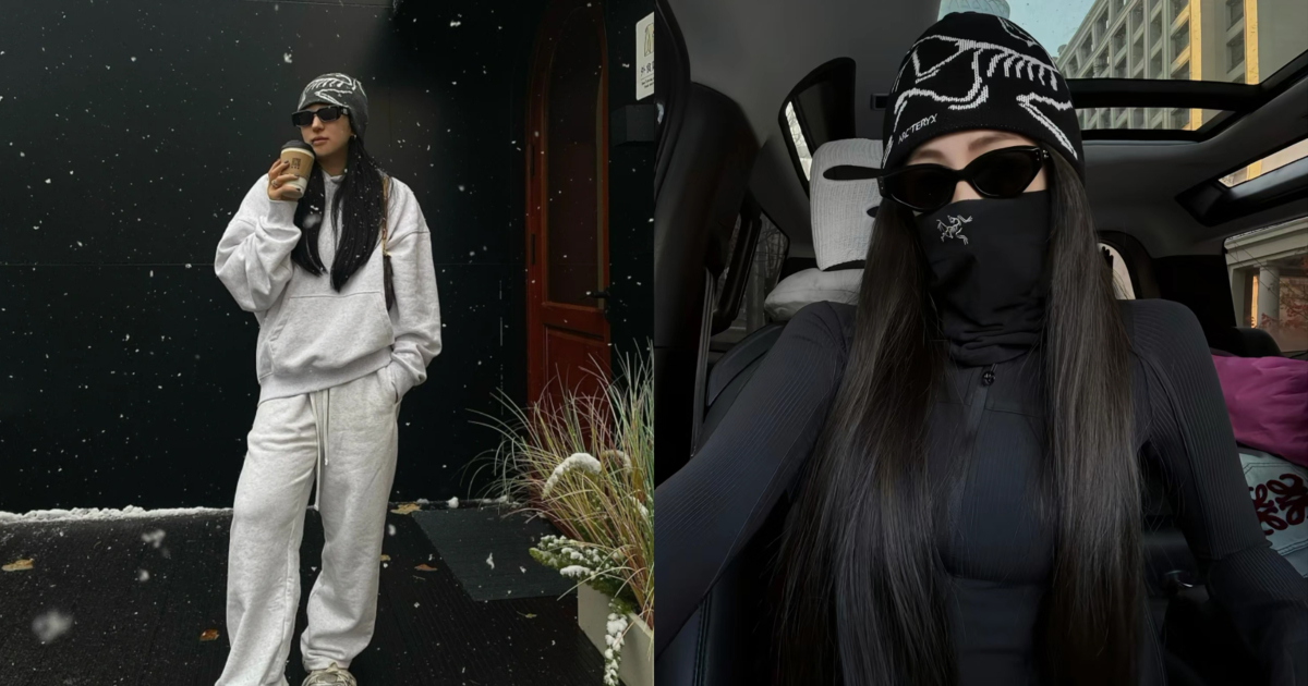 ARC'TERYX Bird Logo 針織毛帽