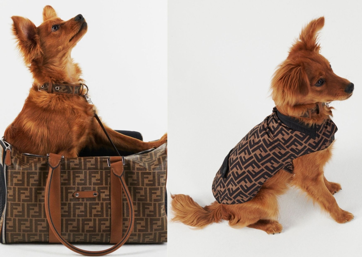 Fendi 棕色狗狗旅行提袋，NT$ 89,400Fendi 棕色FF尼龍製狗狗外套，NT$ 15,600