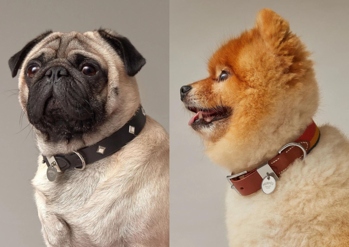 Hermès Rocabar III狗項圈，NT$ 24,100Hermès Punch寵犬項圈，NT$ 31,000