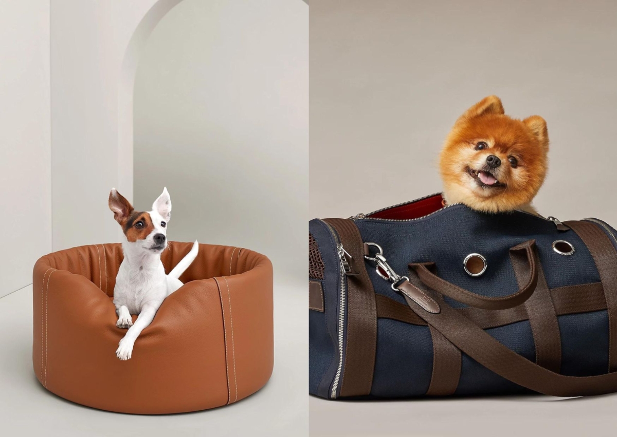 Hermès Patapouf 寵犬睡墊中型，NT$ 154,900Hermès 寵犬外出包，NT$ 94,100