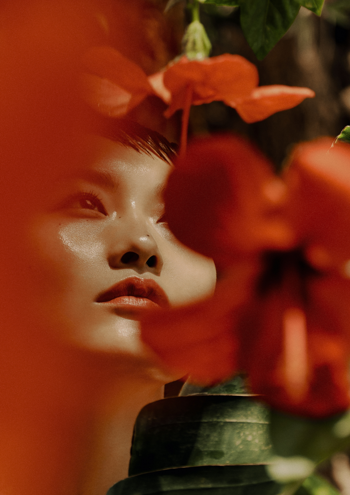 朱槿花芳醇香水 2024全新登場