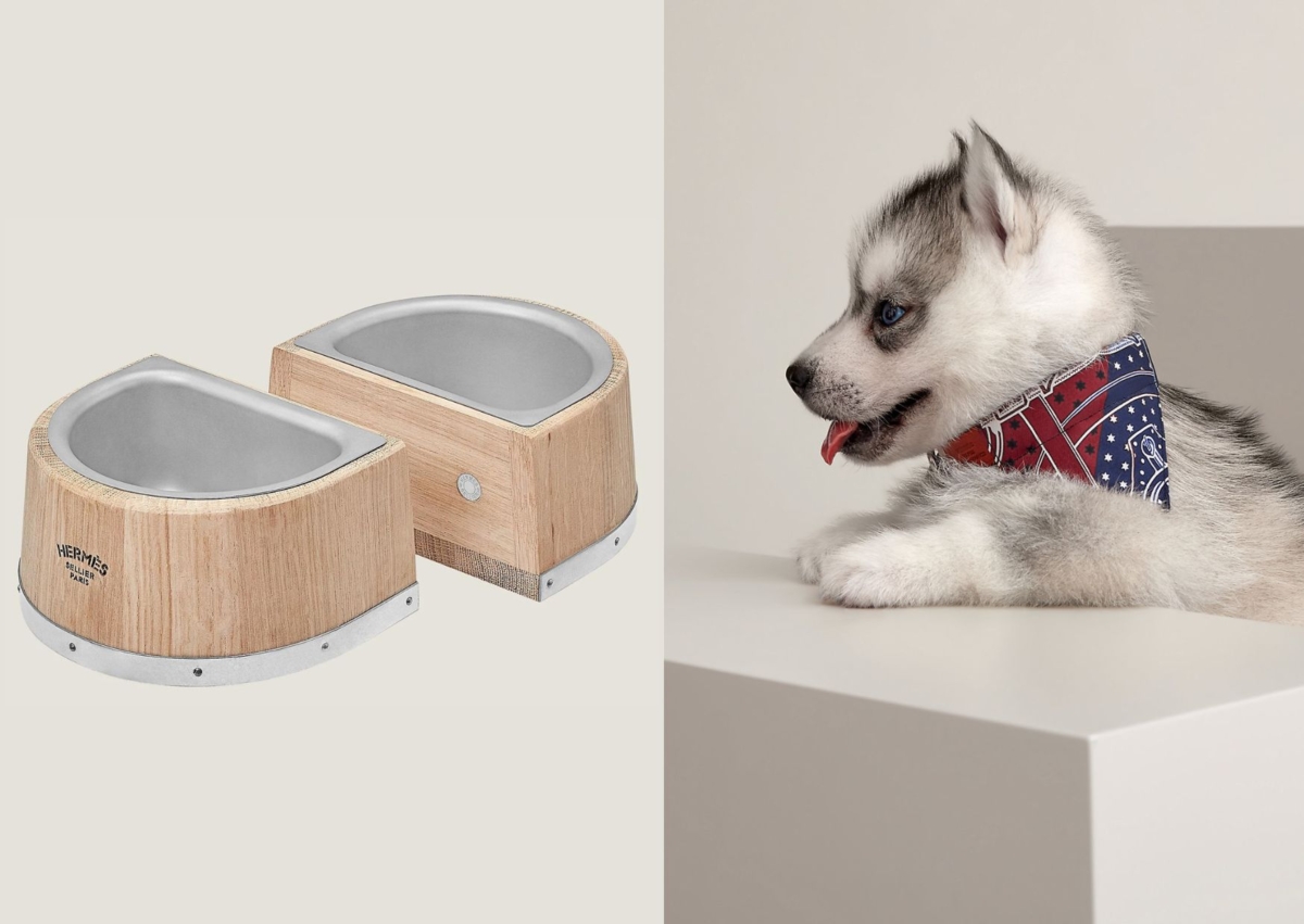 Hermès 寵犬食盆小型，NT$ 41,100Hermès Eperon d'Or寵犬領巾超小型，NT$ 5,100