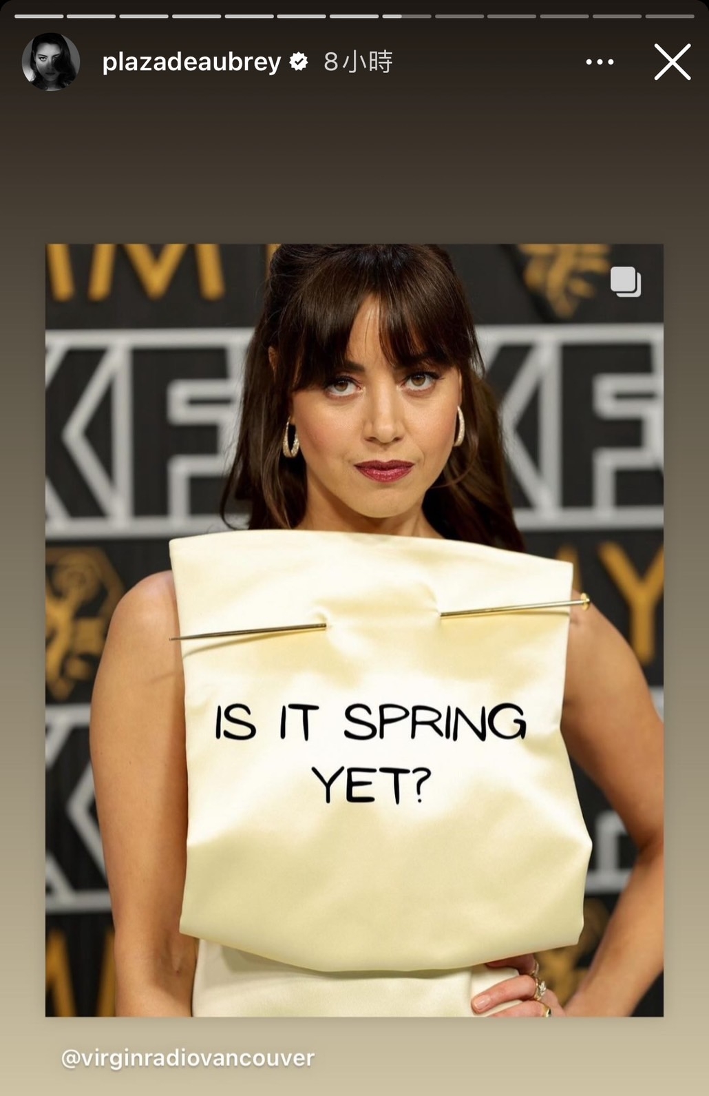 許多網友紛紛在Aubrey Plaza禮服上留言