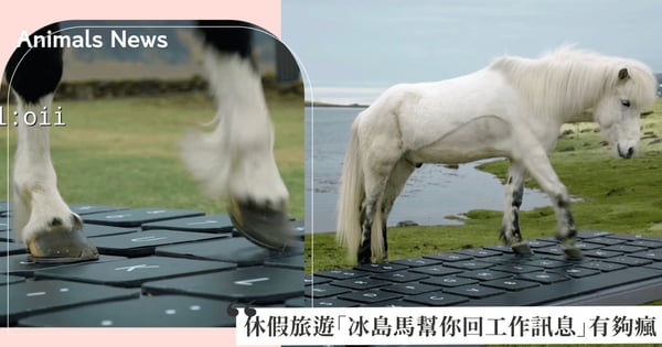 老闆別來煩!冰島旅遊局推出「馬兒幫你回覆工作訊息」功能,認真守護遊客的旅遊假期超瘋♡