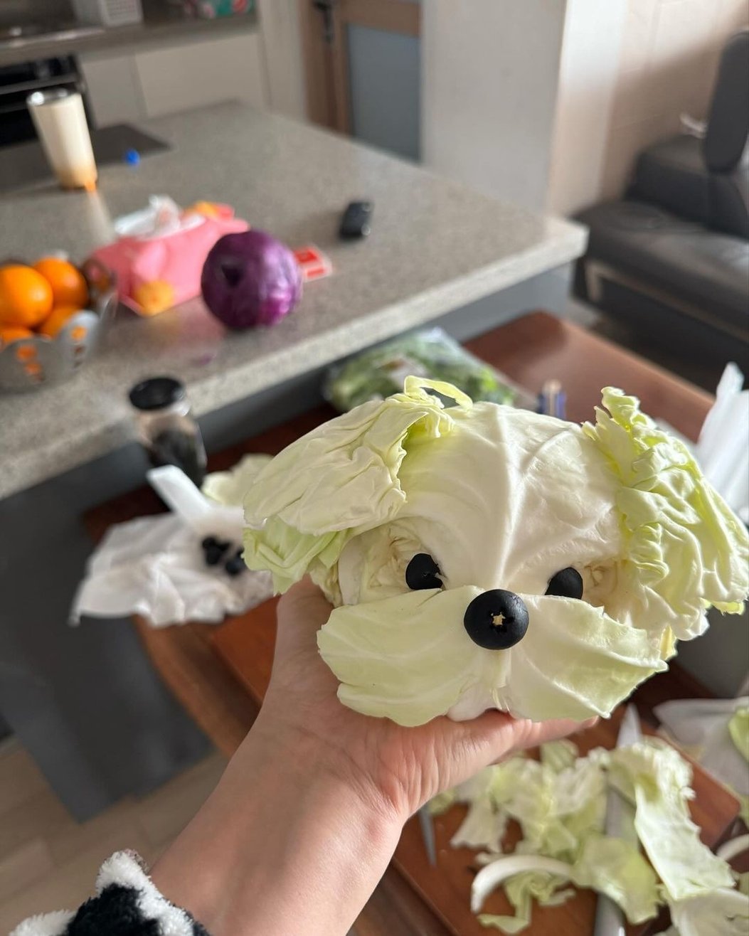 韓國神人用高麗菜製作比熊犬,超逼真模樣讓網友誤以為是真狗!