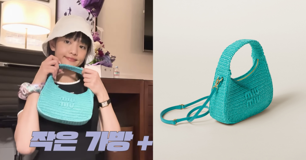 Miu Miu Wander crochet hobo bag