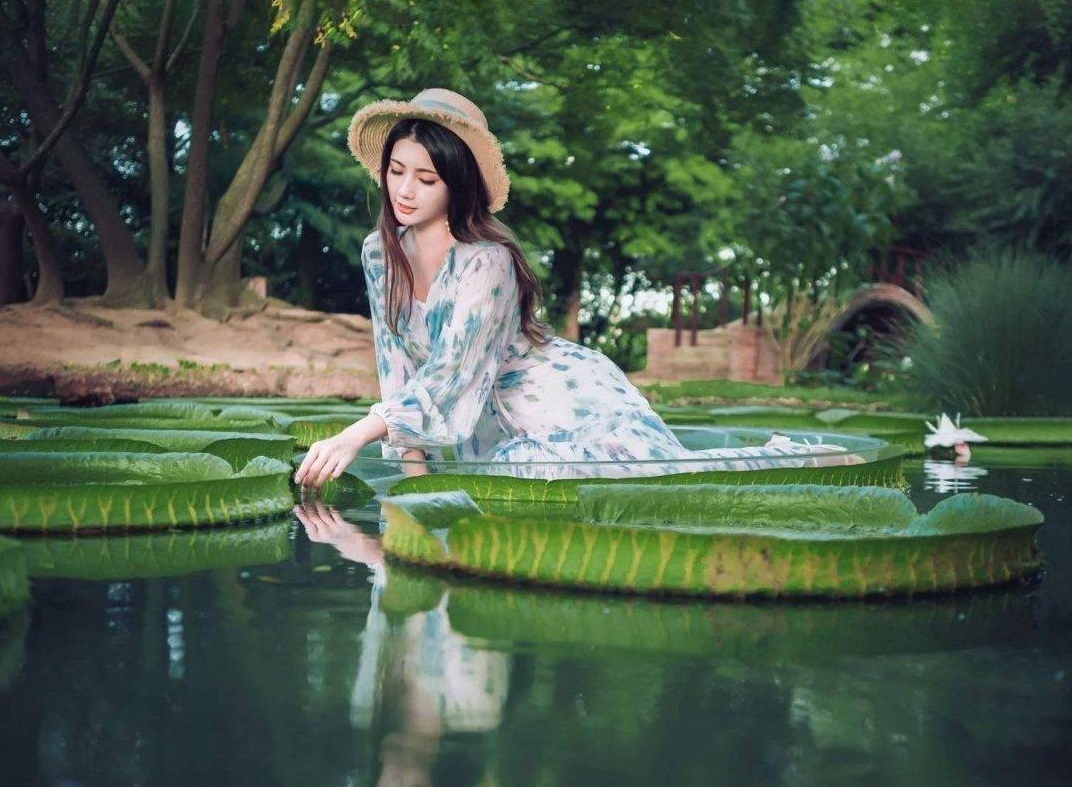 桃園市觀音區蓮花園休閒農業區近來成為許多網美爭相拍照打卡的景點。