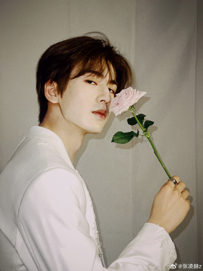 張凌赫如今愛情事業兩得意。