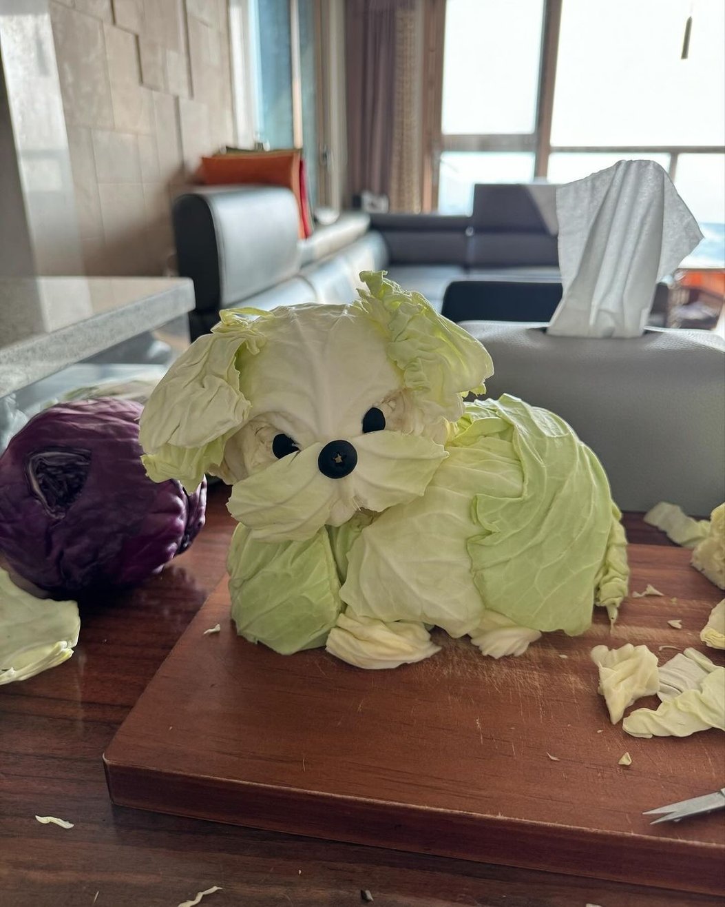 韓國神人用高麗菜製作比熊犬,超逼真模樣讓網友誤以為是真狗!