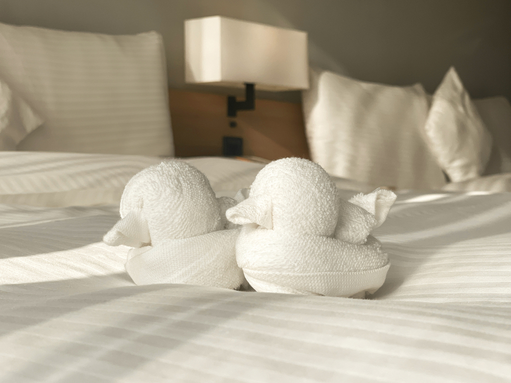 和逸飯店高雄中山館「住在逸起丫」住房專案，每處都充斥著可愛的小鴨細節。