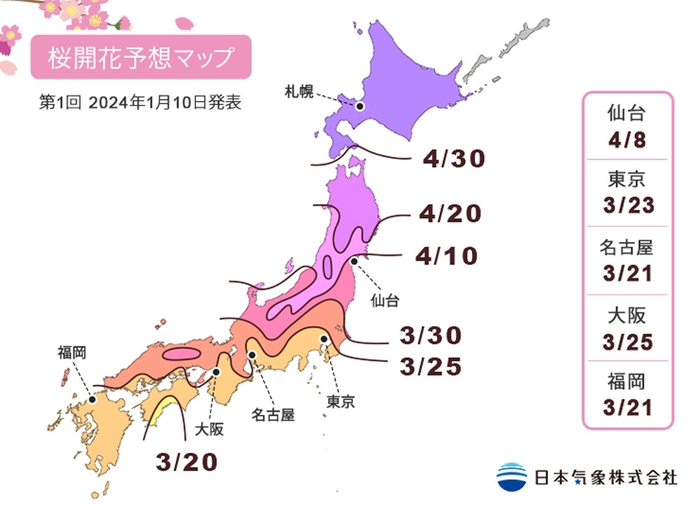 2024日本櫻花最新預測,東京大阪櫻花全開都落在3/30-4/1