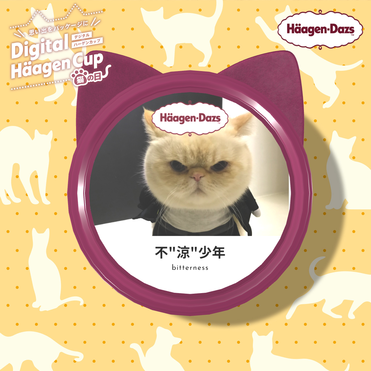 所有貓奴們都會愛上哈根達斯貓咪杯遊戲