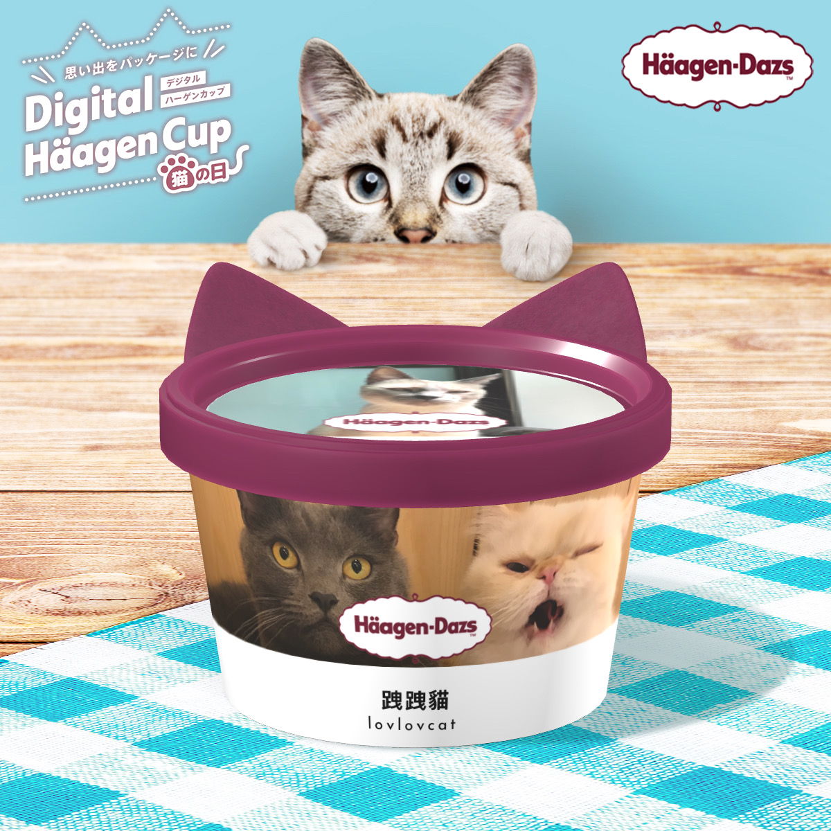 全世界獨一無二的貓咪哈根達斯