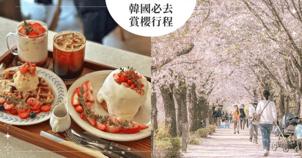 追櫻計畫預備！走訪韓國賞櫻聖地、歐膩打卡咖啡廳口袋名單， 用「它」讓浪漫賞櫻之旅更easy！