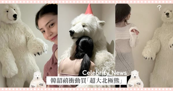 I型人的充電夥伴！韓韶禧衝動購物買「190cm超大北極熊」卻不知道怎麼洗，苦惱急徵清洗專家XD