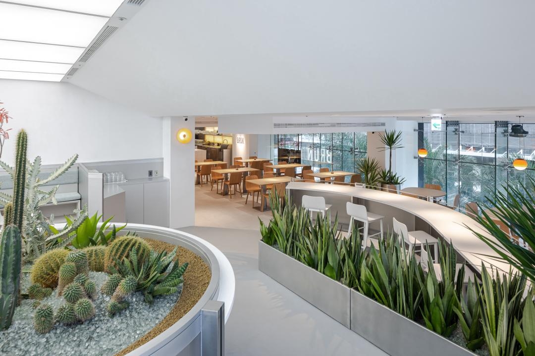 「BRUN不然」透明玻璃帷幕讓自然光穿透其中，也讓綠意欣欣向榮。