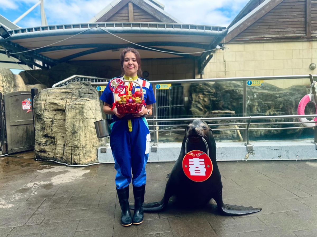 遠雄海洋公園讓可愛海獅陪伴大家迎新春！