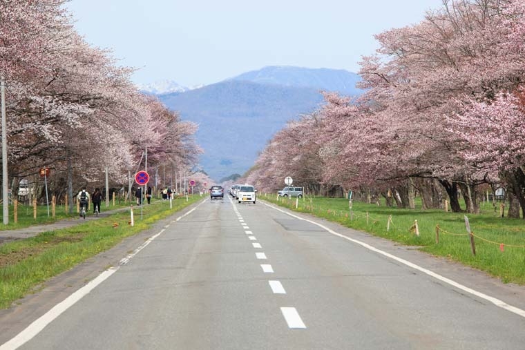 【北海道】靜内二十間道路