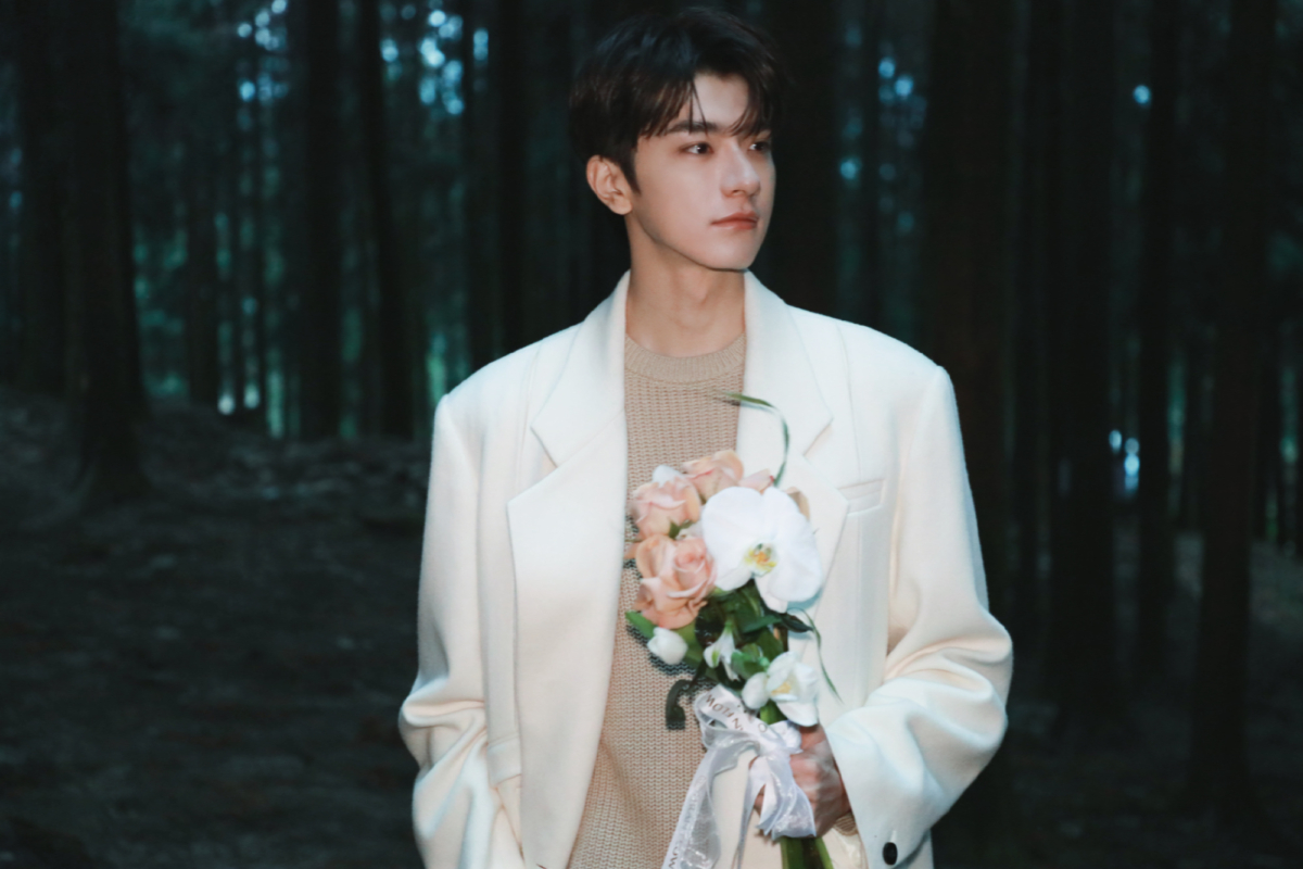 林一是許多女粉絲心中的白馬王子。