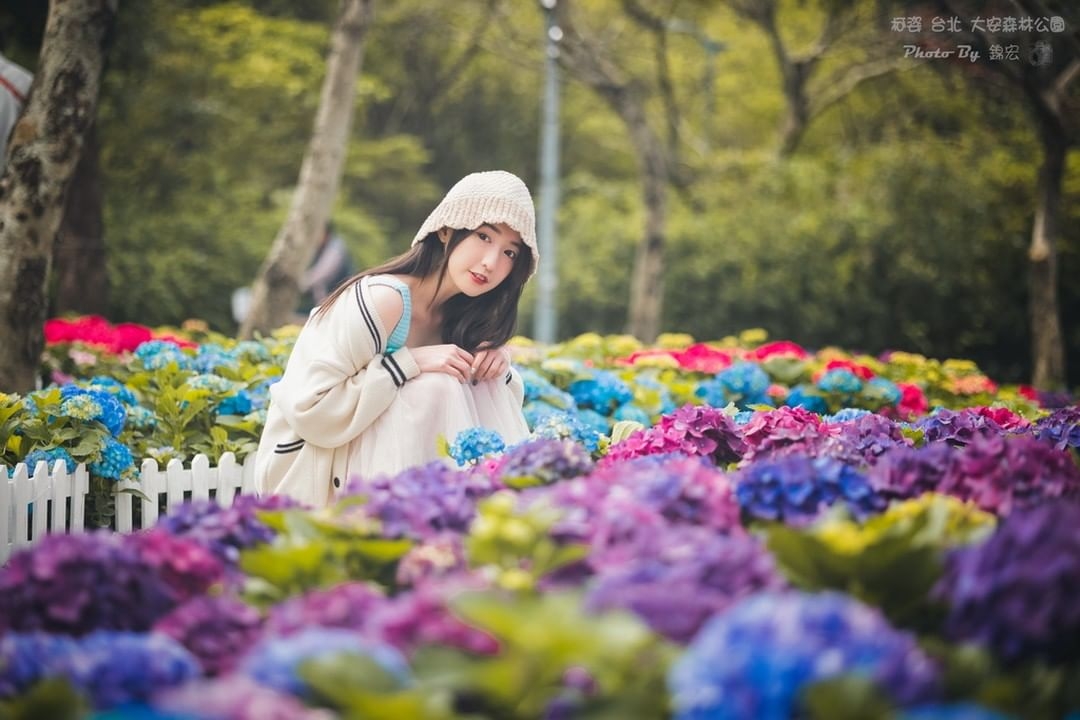 2024杜鵑花季熱鬧開跑,快來與嬌嫩花朵一起合影吧!