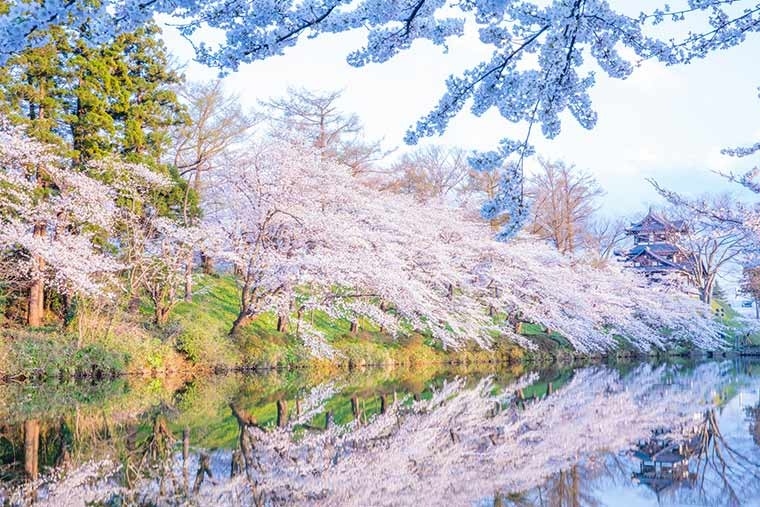 【新潟】高田城址公園