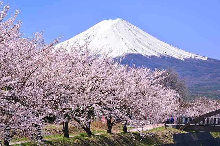 【山梨】河口湖（富士山）