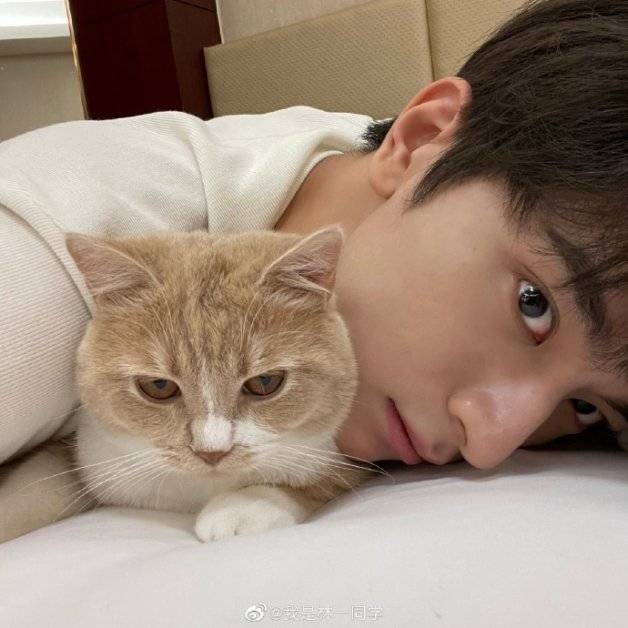 林一和愛貓「嘎巴」的萌照。